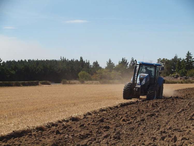 Rakaia Highway Allenton_6