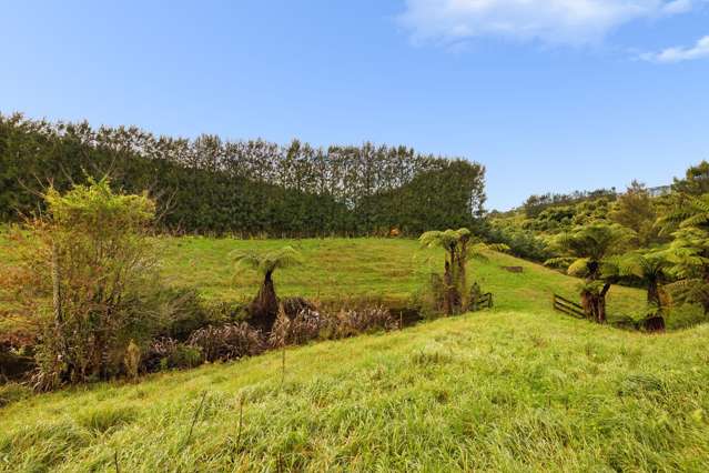 222 Wharawhara Road Katikati_2