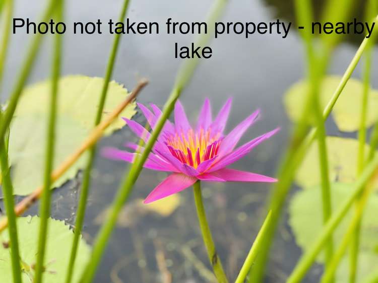 100c Lakeside Drive Orewa_26