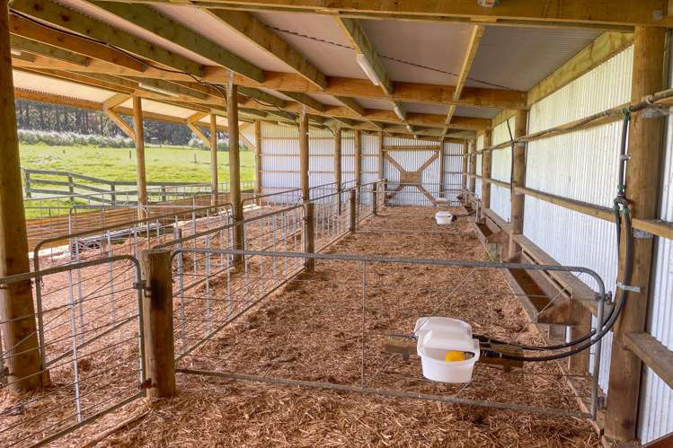 146 Fuller Road South Head_14