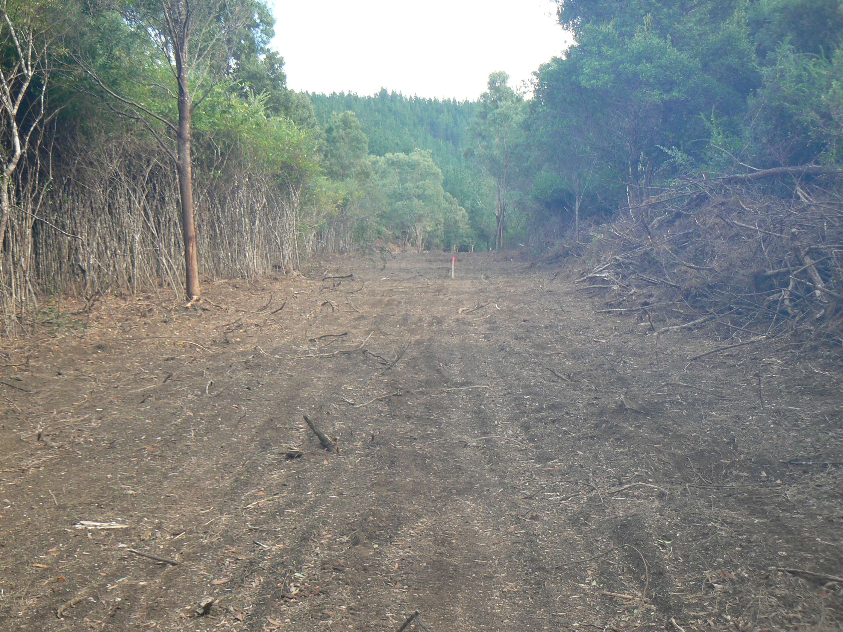 6084 Mangakahia Road Tautoro Far North Rural Property For Sale