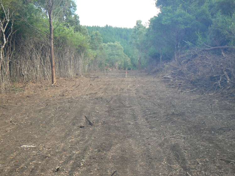 6084 Mangakahia Road Tautoro Far North Rural Property For Sale