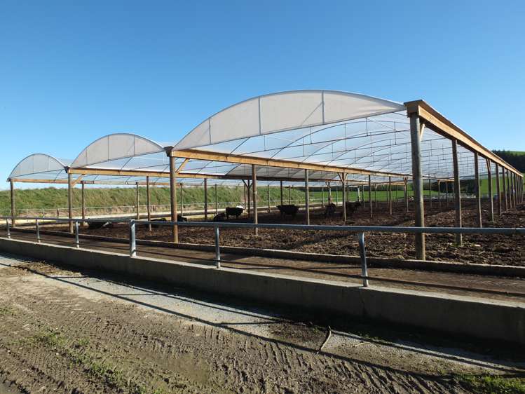 1402 Limehills Browns Road Winton Surrounds_11