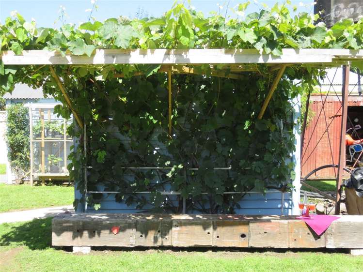 11 Buckley Street Cheviot_13