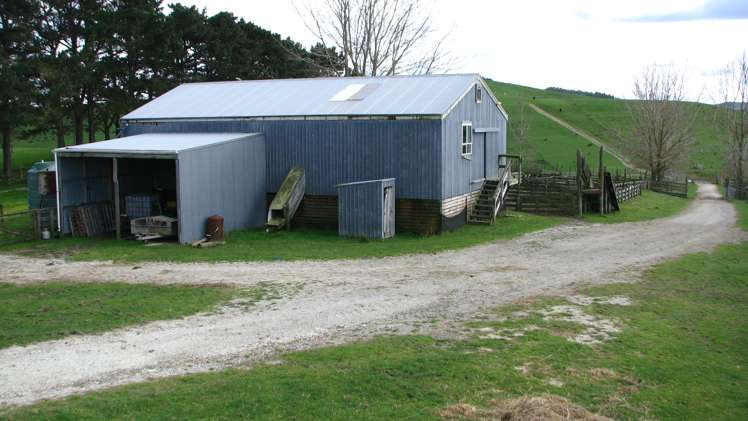 369 Burma Road Tapora_10