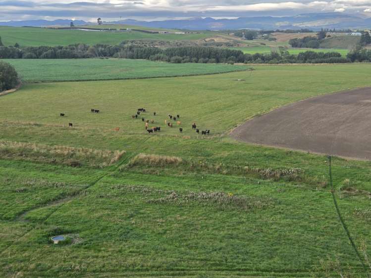 Alma-Maheno Road Maheno_13