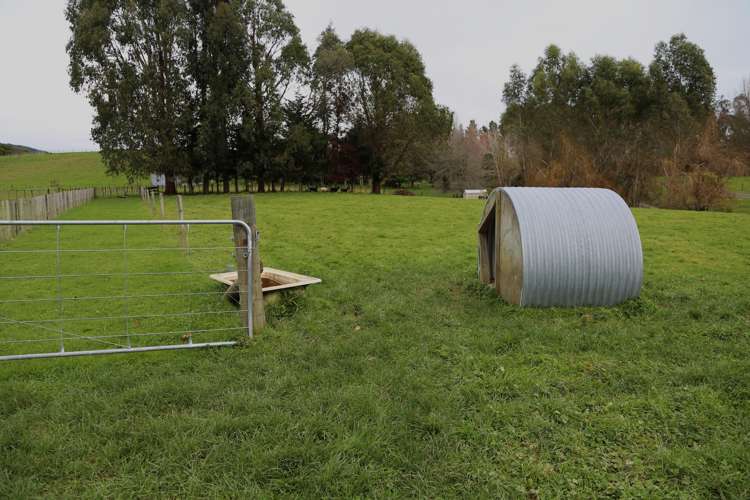 40 Potts Road Koputaroa_22