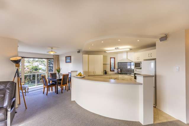 37 Fitzroy Road Bluff Hill_4
