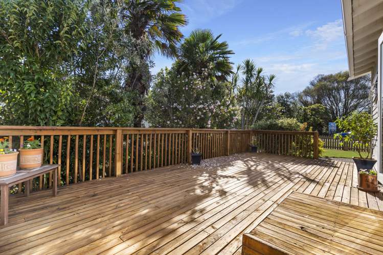 581 Great South Road Rosehill_8