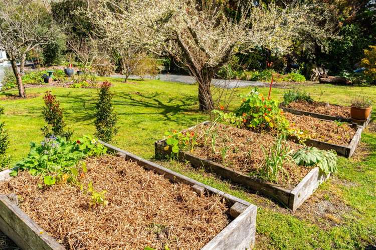 4 Windmill Lane Kaiwaka_23