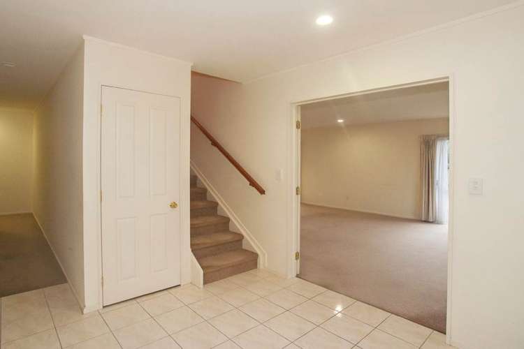 17e Cradock Street Avondale_6