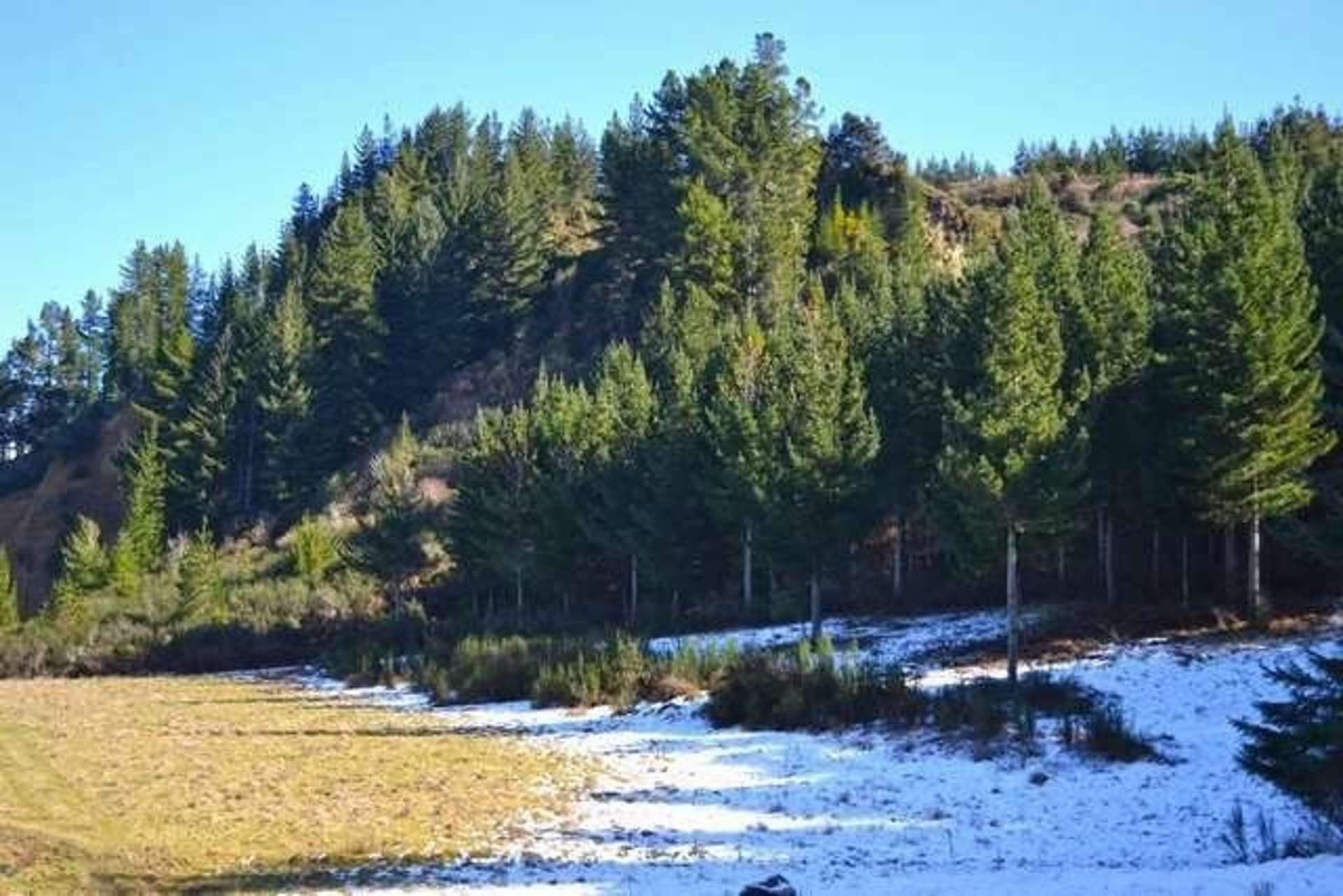 Tui Road Tapawera Tasman Houses for Sale One Roof