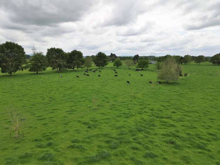 139 Taylor Road Gordonton_1