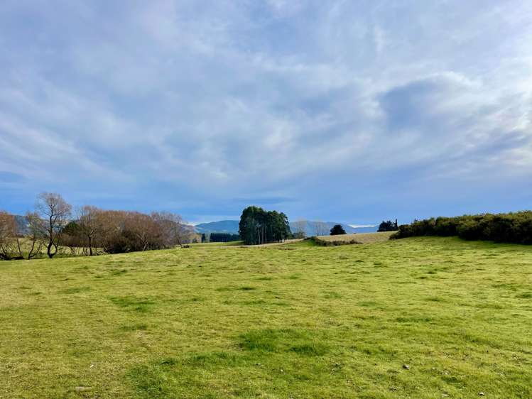 lot 2-3 Maytown Road Waimate_20