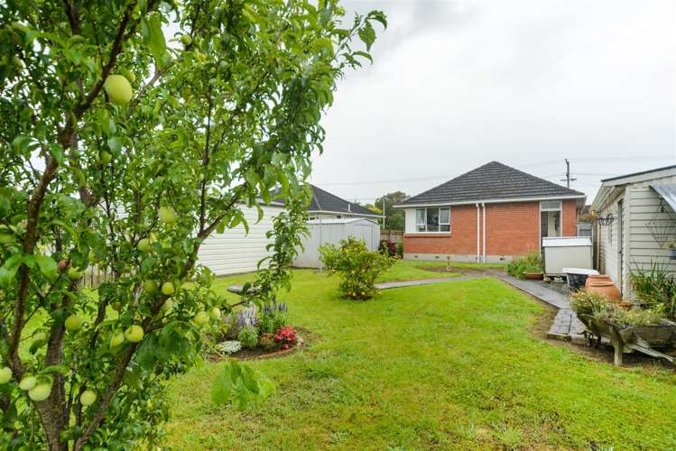 27 Holland Crescent Bulls_33