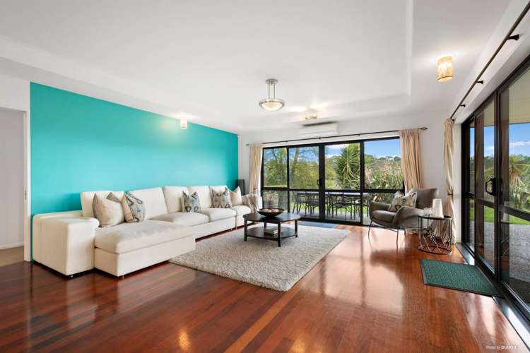 71 Potter Road Dairy Flat_10