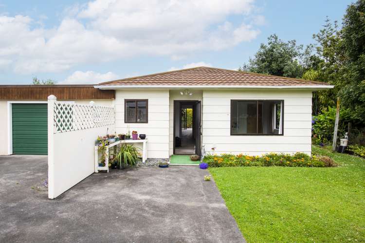 16a Oak Street Mangapapa_13