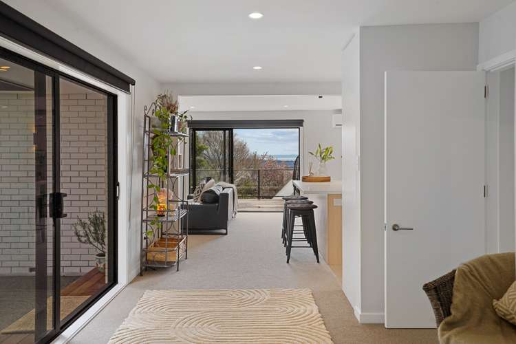 165 Soleares Avenue Mount Pleasant_16