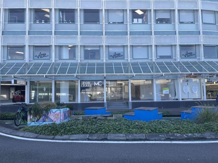 119 Queens Drive Hutt Central_6