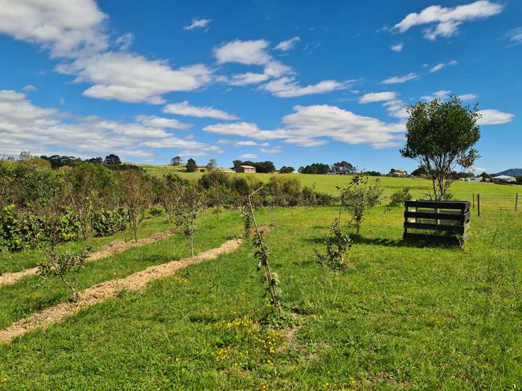 433 Mangapai Road Mangapai and Surrounds_25