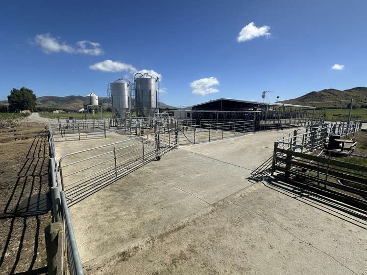 1147 Lumsden Dipton Highway Dipton_24