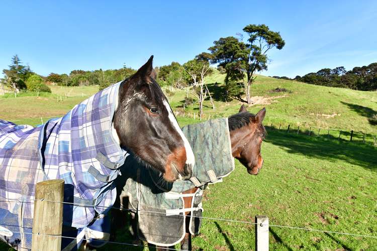 65c Manuka Grove Helensville_26