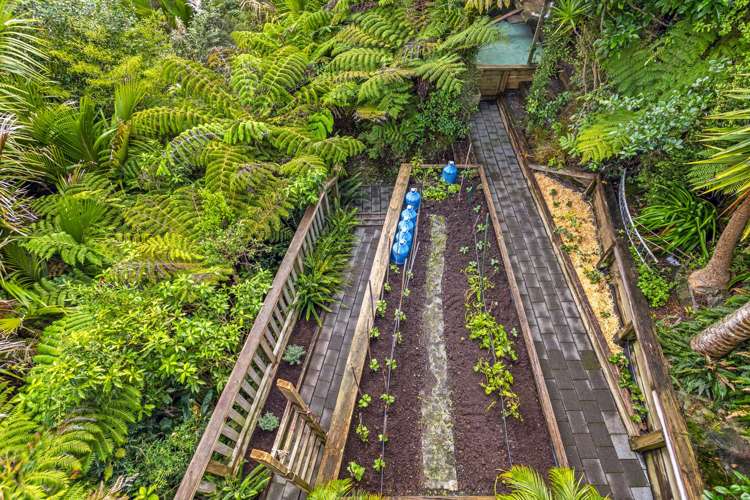 24 Punga Place Whitianga_30