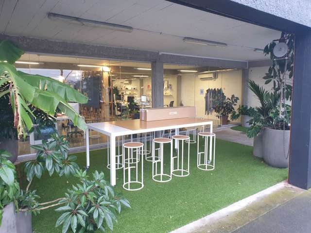 26 Monmouth Street Grey Lynn_3