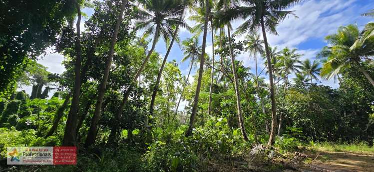 Address withheld Savusavu_30