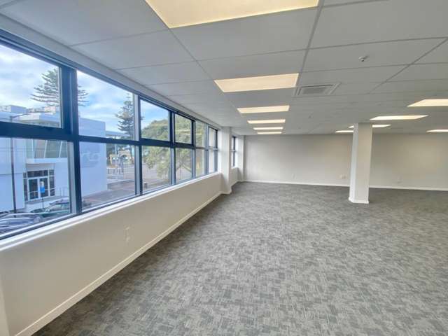 6 Herschell Street Napier South_4