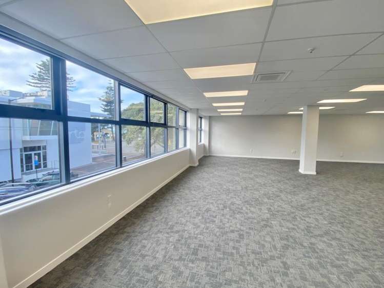 6 Herschell Street Napier South_4