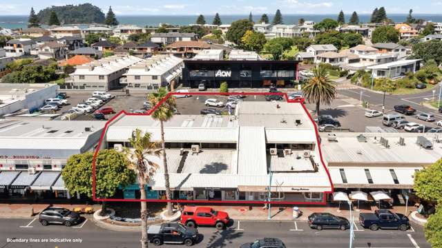 Prime Investment Opportunity in Mount Retail Heart