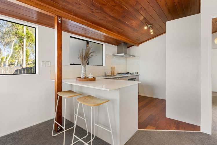1596b Great North Road Waterview_12
