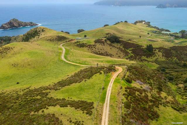 346 Gray Road Great Barrier Island (Aotea Island)_4