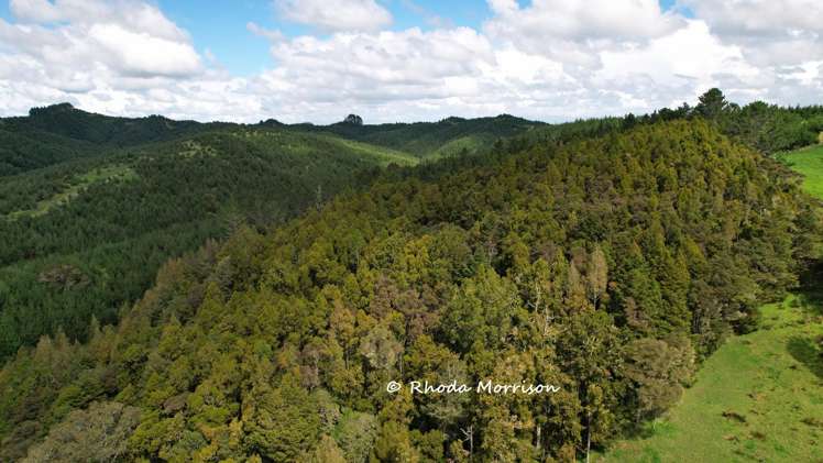 726 Paparoa Station Road Maungaturoto_59