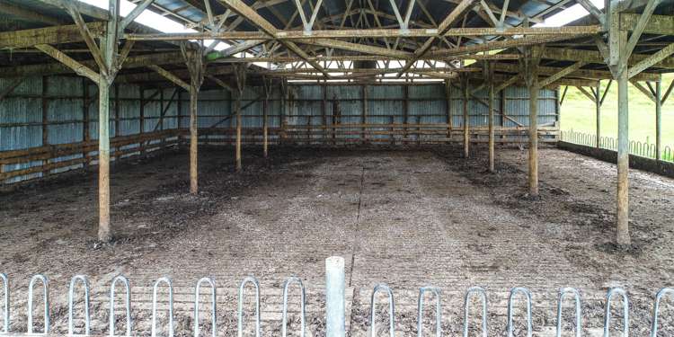 307 Okapua Road Chatton North_14