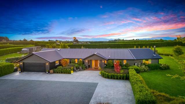 Downsizing Owners - Serious Sellers