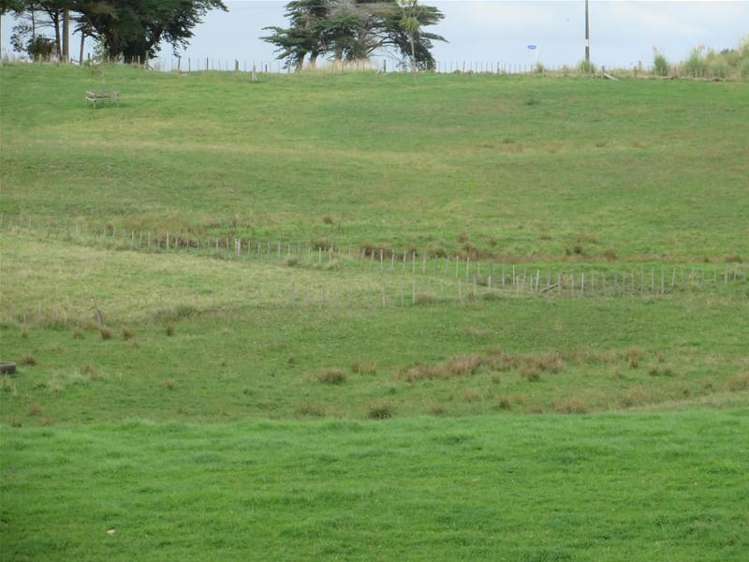 Ovens Road Matakohe_20