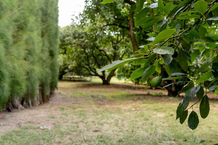 93 Te Puna Quarry Road Wairoa_5