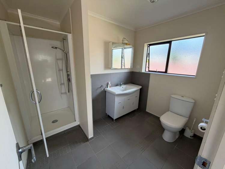 163 Walter Strevens Drive Conifer Grove_14