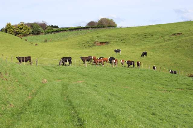 Lt2/310 Henwood Road Bell Block_3