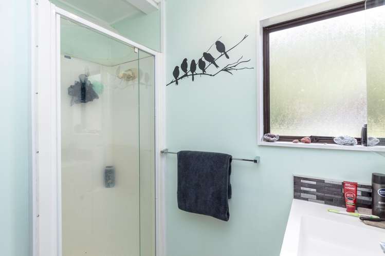 16 McLaughlin Drive Tinui_15