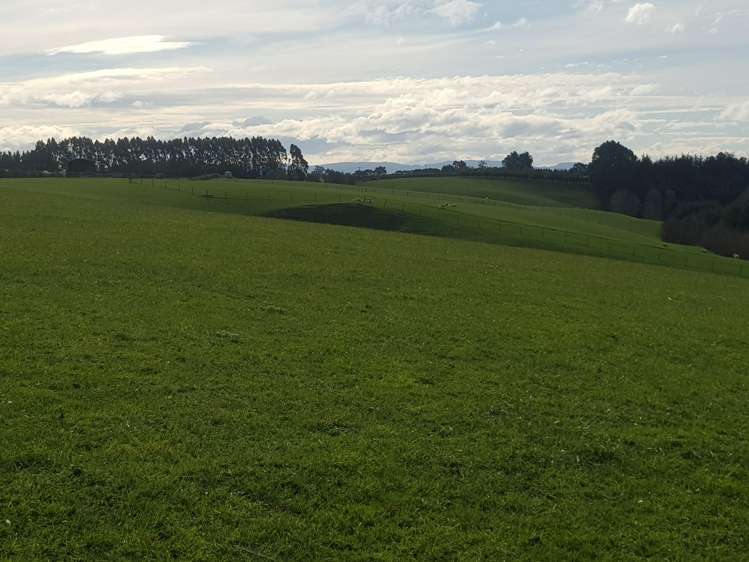 Hillend Road Balclutha_10