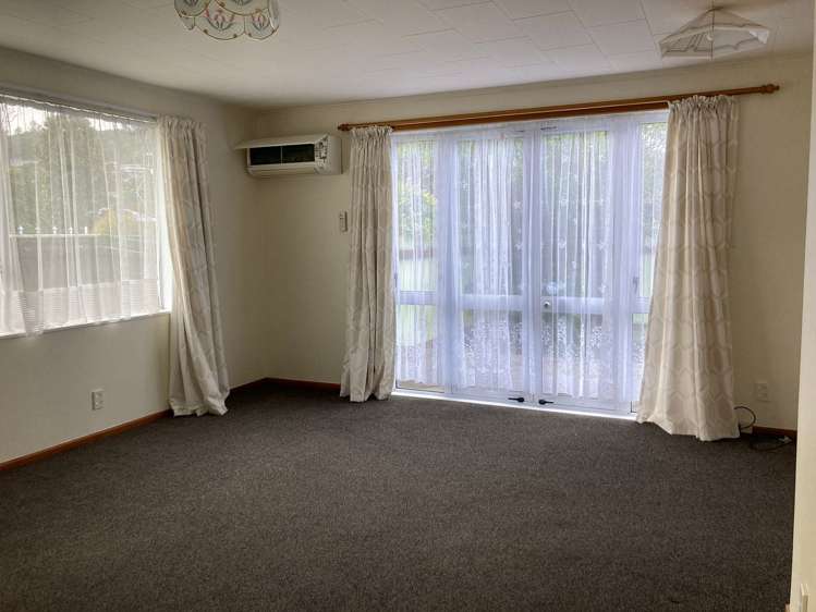 29A Shanly Street Brown Owl_3