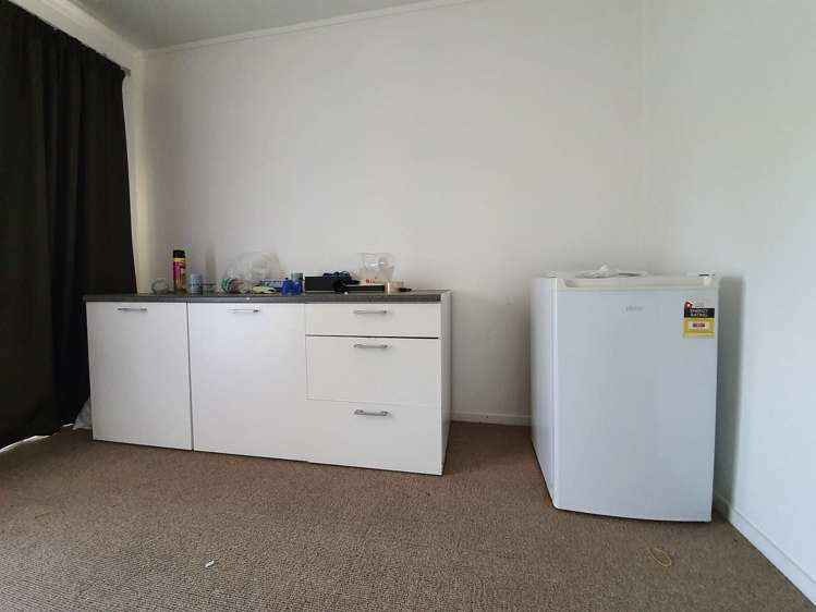 55 Richard Farrell Avenue Remuera_4