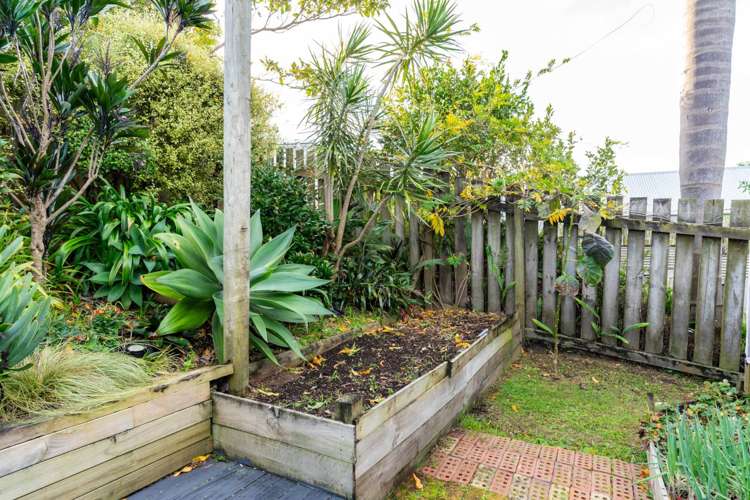 6 Shearwater Street One Tree Point_27