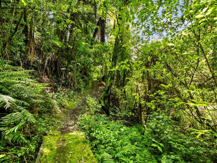 Address withheld Welcome Bay_42