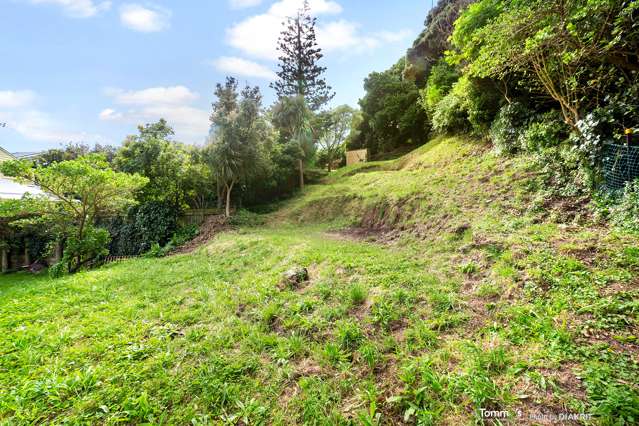 3a Busaco Road Hataitai_4