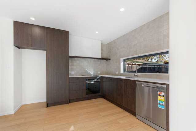 2/10 Seddon Street Sydenham_1