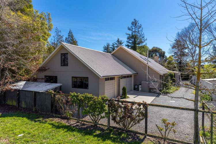 34 Brook Street Springlands_22